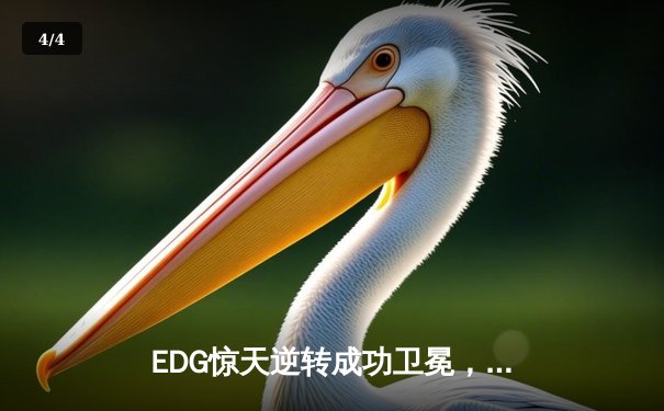 EDG惊天逆转成功卫冕，LPL夏季赛总决赛上演史诗级对决 - 4